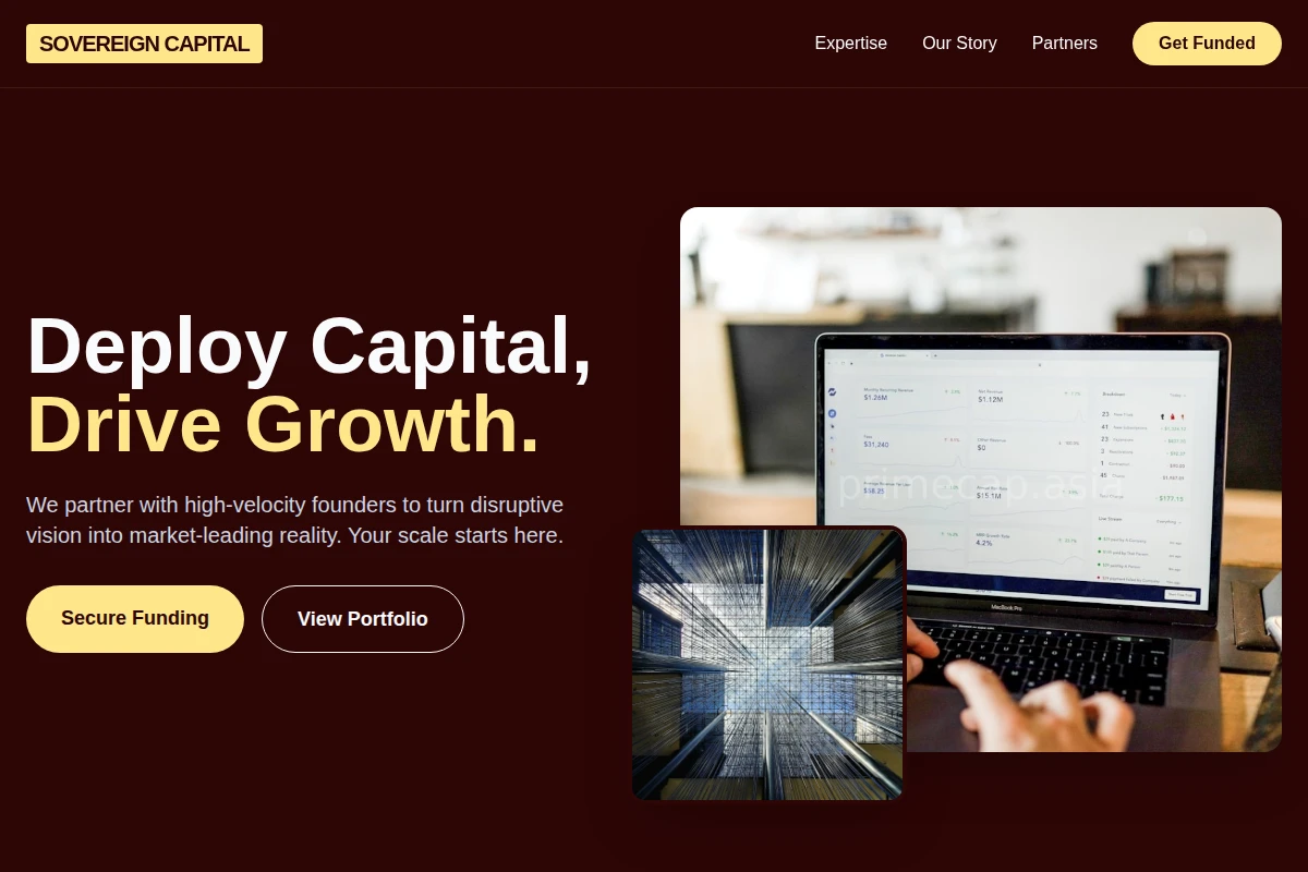 Portfolio Venture Capital