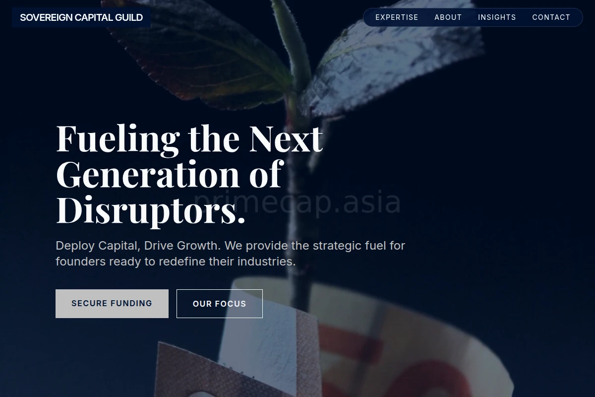 Bridge Venture Capital