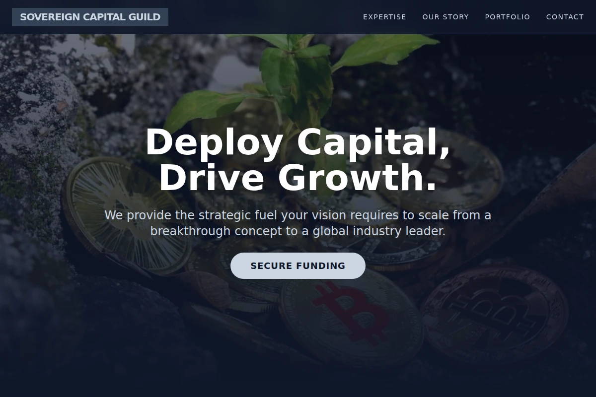 Portfolio Venture Capital