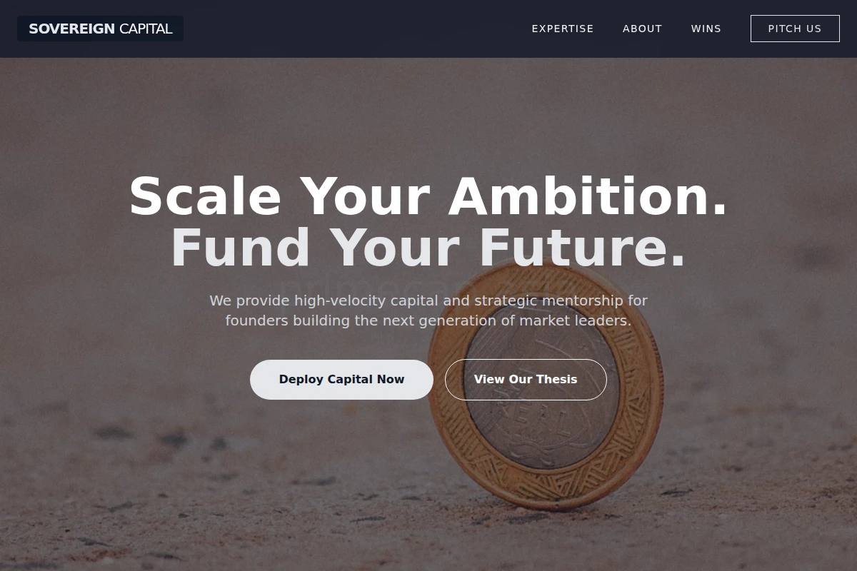 Micro Venture Capital