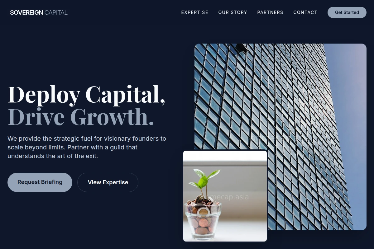 Boutique Venture Capital